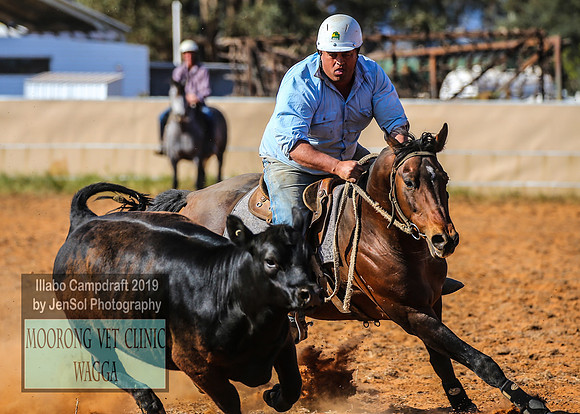 IllaboCampdraft1_2379