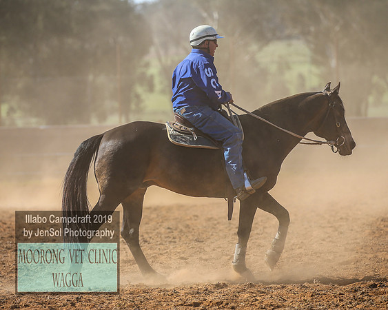 IllaboCampdraft1_1947