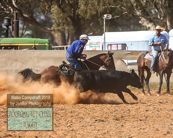IllaboCampdraft1_1727