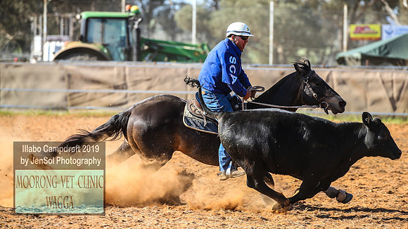 IllaboCampdraft1_2323