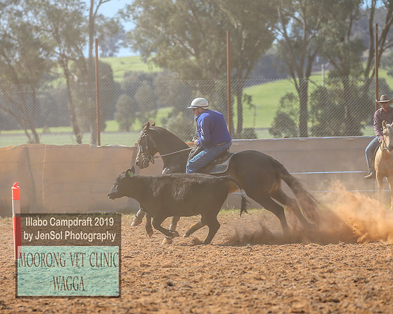 IllaboCampdraft1_1920