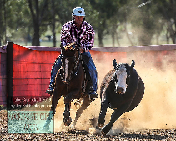 IllaboCampdraft1_2168