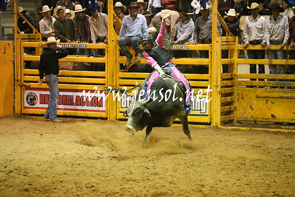 RDAug2013_0950