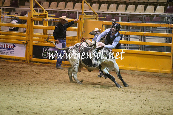 RDAug2013_0344