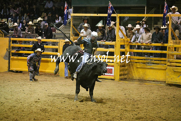 RDAug2013_0878