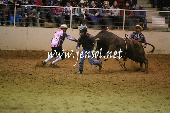 RDAug2013_0935