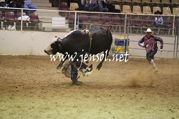 RDAug2013_0320