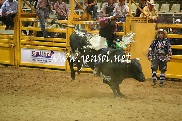 RDAug2013_0266