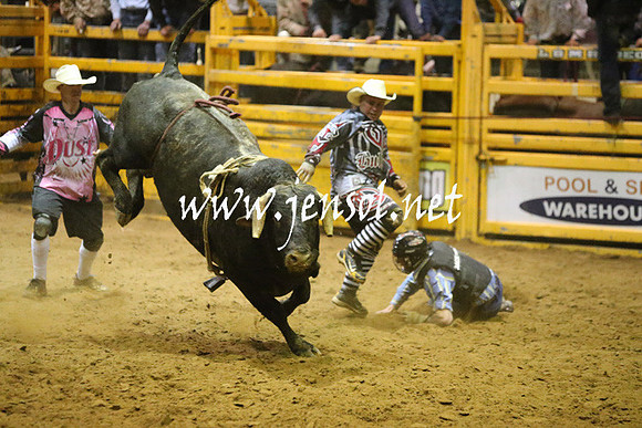 RDAug2013_0865