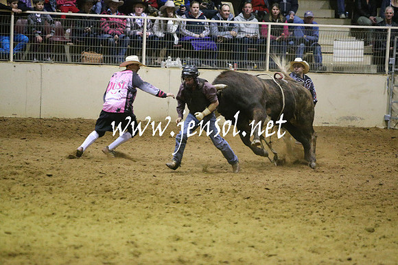 RDAug2013_0934