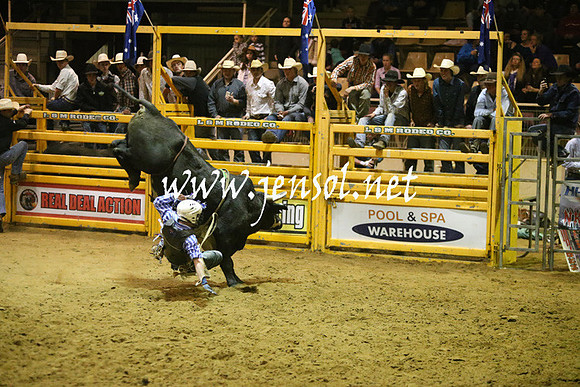 RDAug2013_0996
