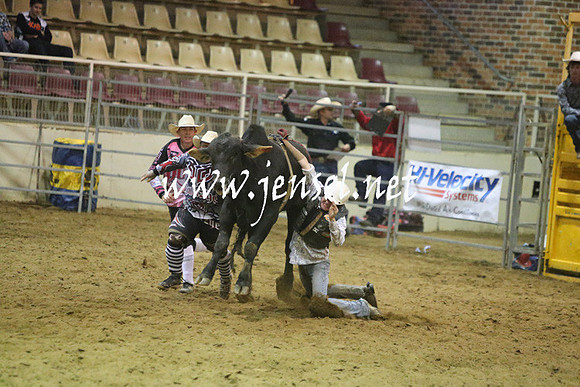 RDAug2013_0253