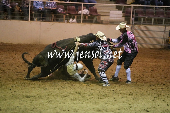 RDAug2013_0331