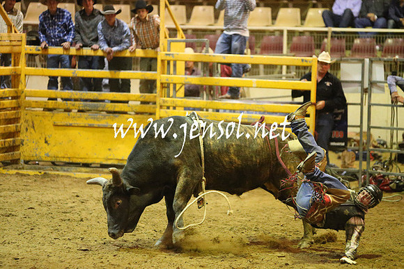 RDAug2013_0275