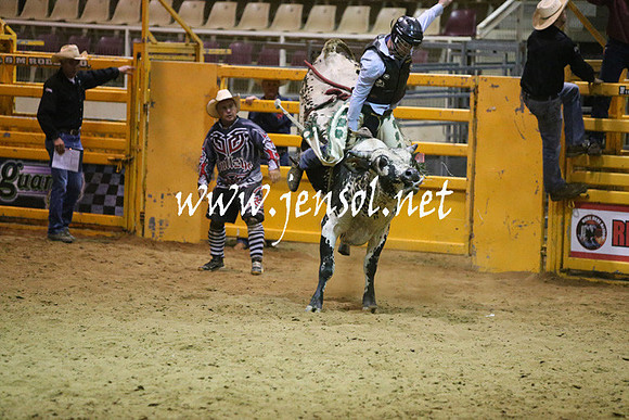 RDAug2013_0341