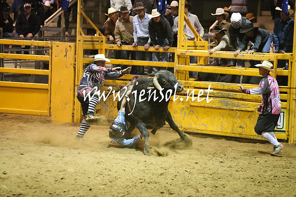 RDAug2013_0852