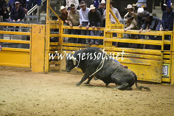 RDAug2013_0849