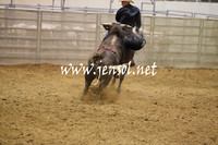 RDAug2013_0233