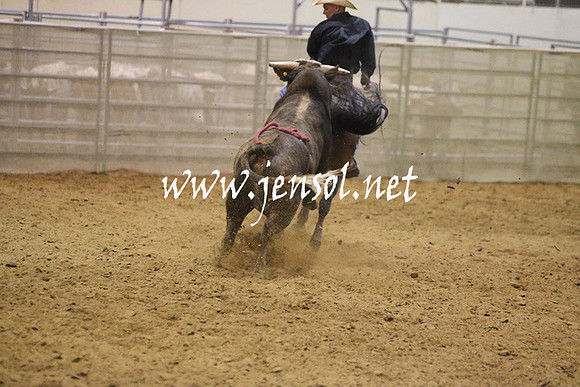 RDAug2013_0233