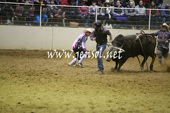 RDAug2013_0937