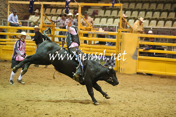 RDAug2013_0291