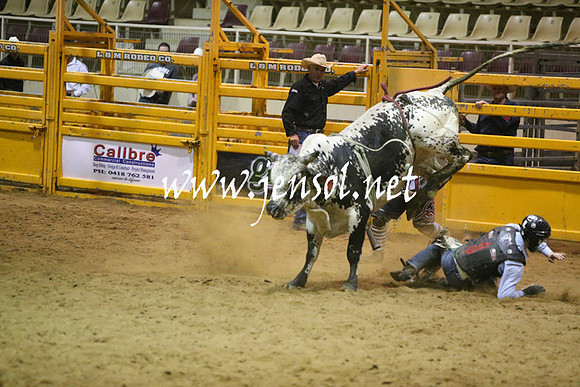 RDAug2013_0346