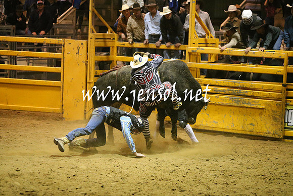 RDAug2013_0858