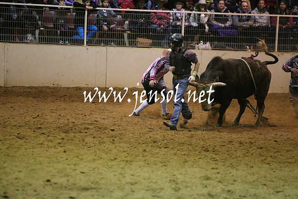 RDAug2013_0938