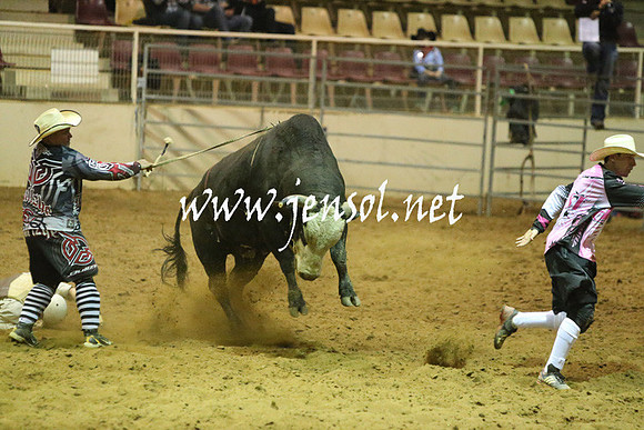 RDAug2013_0334