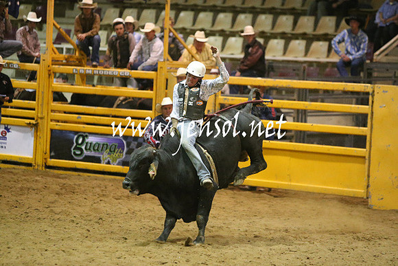 RDAug2013_0238