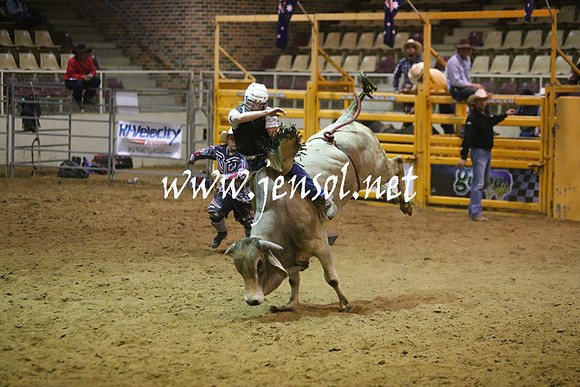 RDAug2013_0300