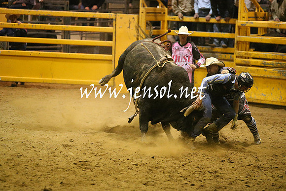 RDAug2013_0862