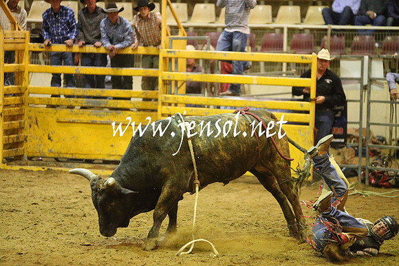 RDAug2013_0276