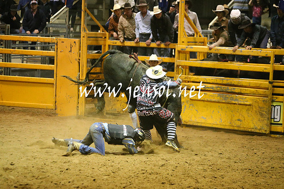RDAug2013_0860