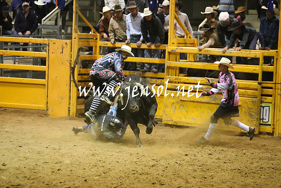 RDAug2013_0854