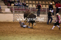 RDAug2013_0230