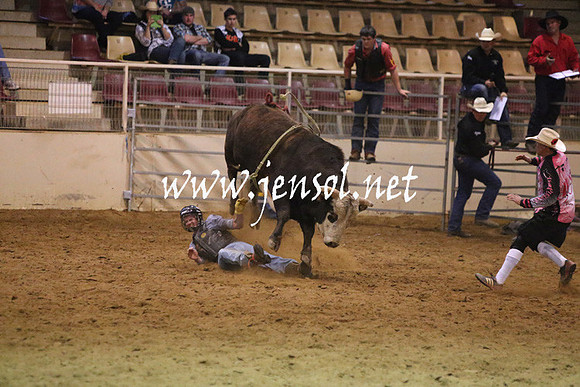 RDAug2013_0230