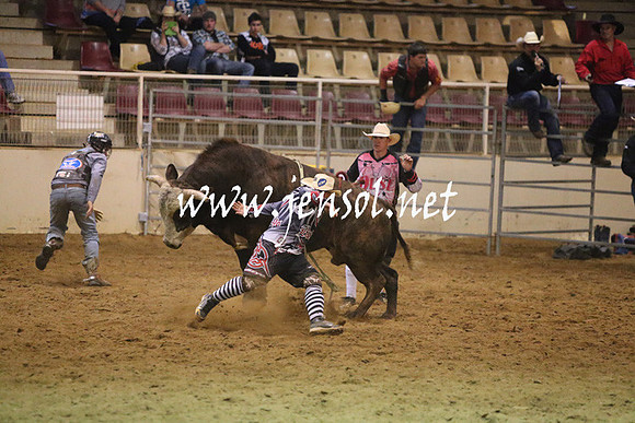 RDAug2013_0231