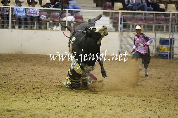 RDAug2013_0322