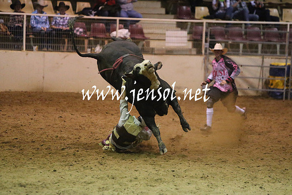 RDAug2013_0323