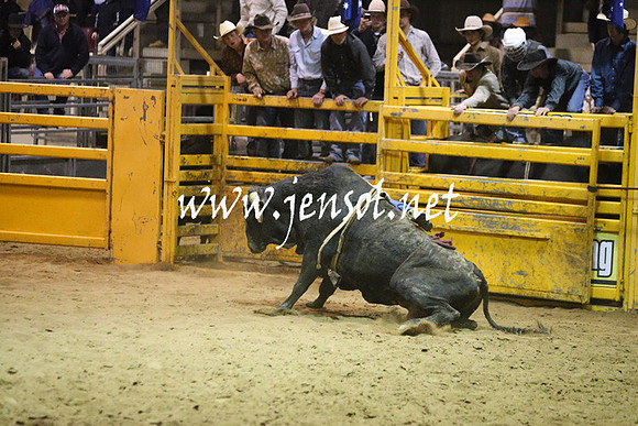 RDAug2013_0848