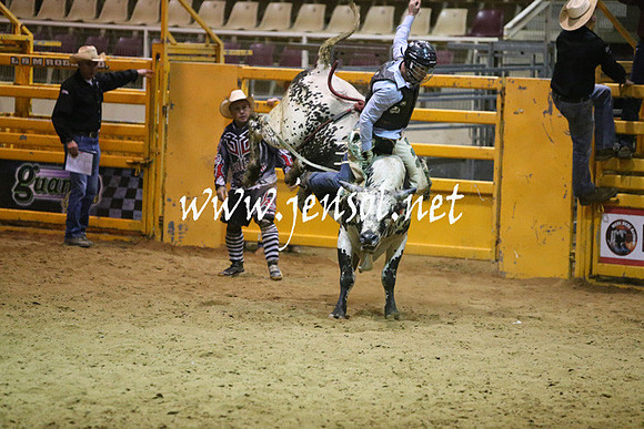 RDAug2013_0342