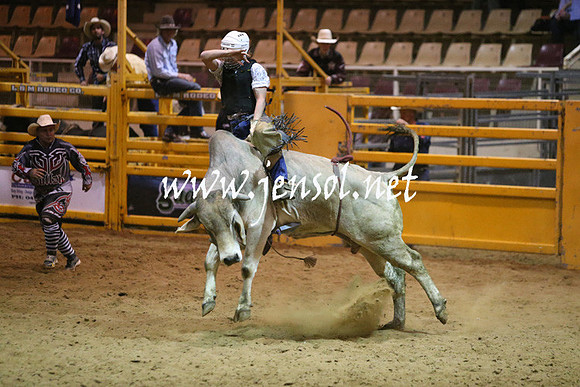 RDAug2013_0297