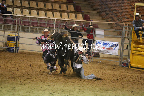 RDAug2013_0252