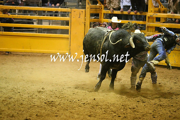 RDAug2013_0864