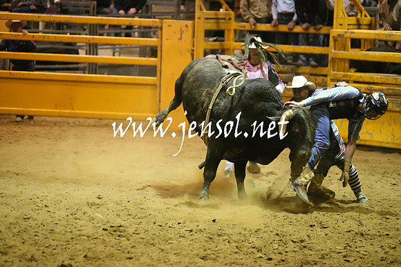 RDAug2013_0863
