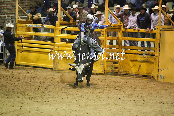 RDAug2013_0988