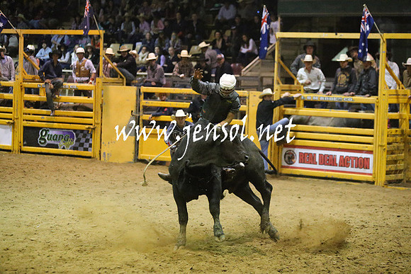 RDAug2013_0882