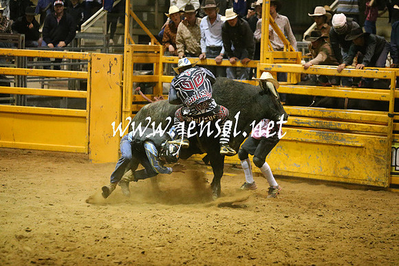 RDAug2013_0856