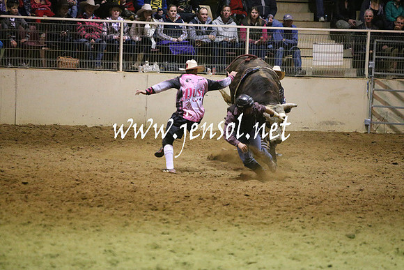 RDAug2013_0933